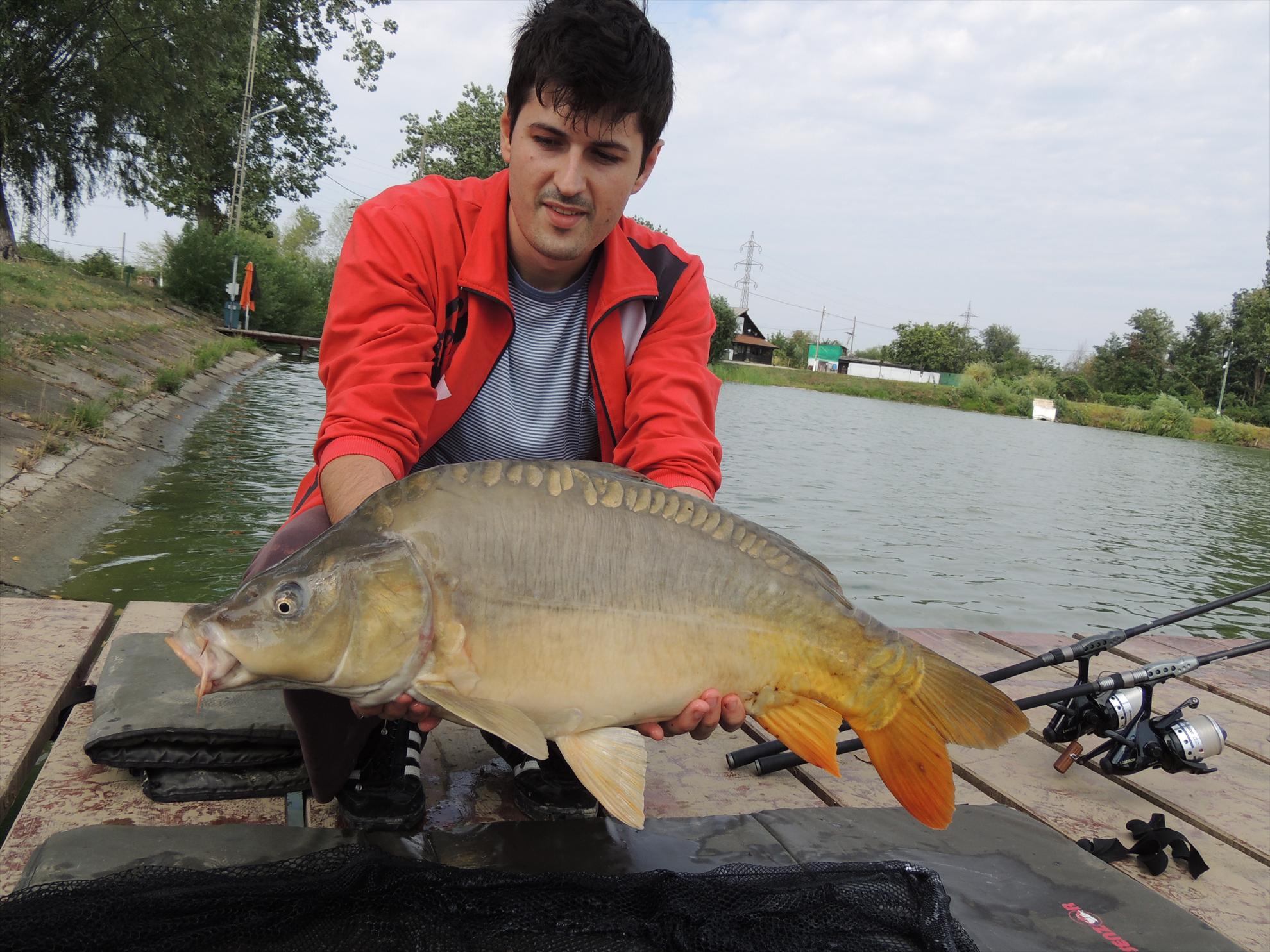 Pleasa - dscn0535.JPG